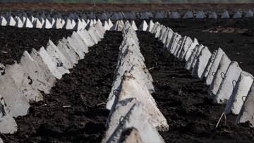 Podejrzany manewr Rosji. Stworzyli 15-kilometrową 